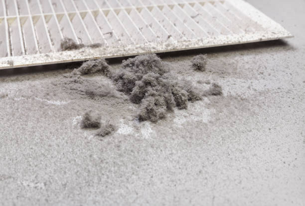 Best Air Duct Cleaning Company Near Me  in Oak Park, IL