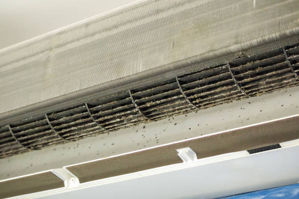 Best Best Air Duct Cleaning Company  in Oak Park, IL